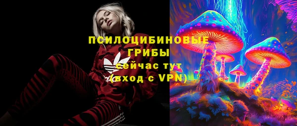 стаф Елизово