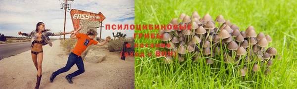 кокс Кострома