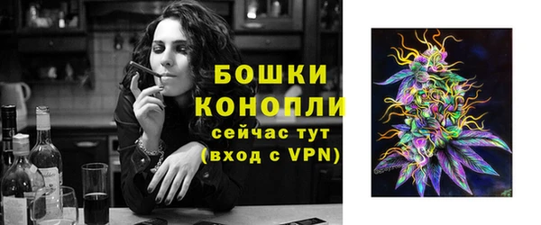 ГАЛЛЮЦИНОГЕННЫЕ ГРИБЫ Алагир
