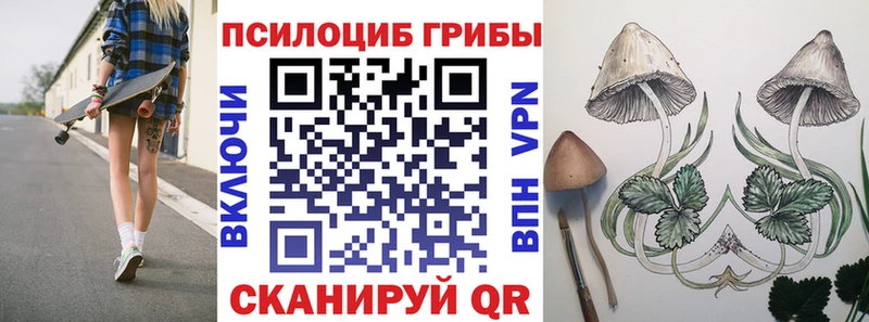 Псилоцибиновые грибы ЛСД  где можно купить   маркетплейс какой сайт  Апатиты 
