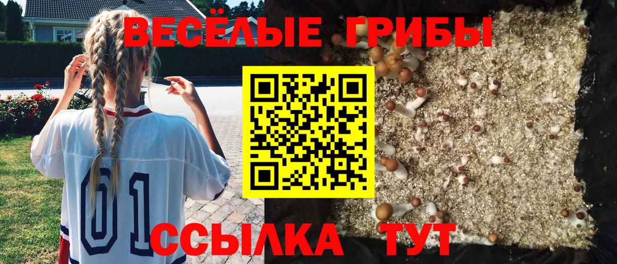 Апатиты  Псилоцибиновые грибы мицелий  Псилоцибиновые грибы Psilocybine cubensis  Вход с VPN 